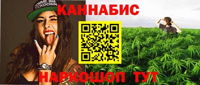 индика Мариинск