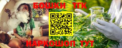 индика Мариинск
