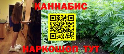 индика Мариинск