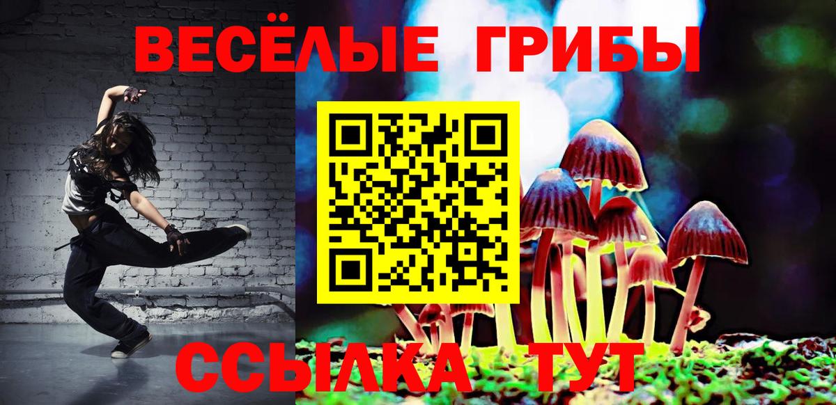 Галлюциногенные грибы прущие грибы Усть-Илимск